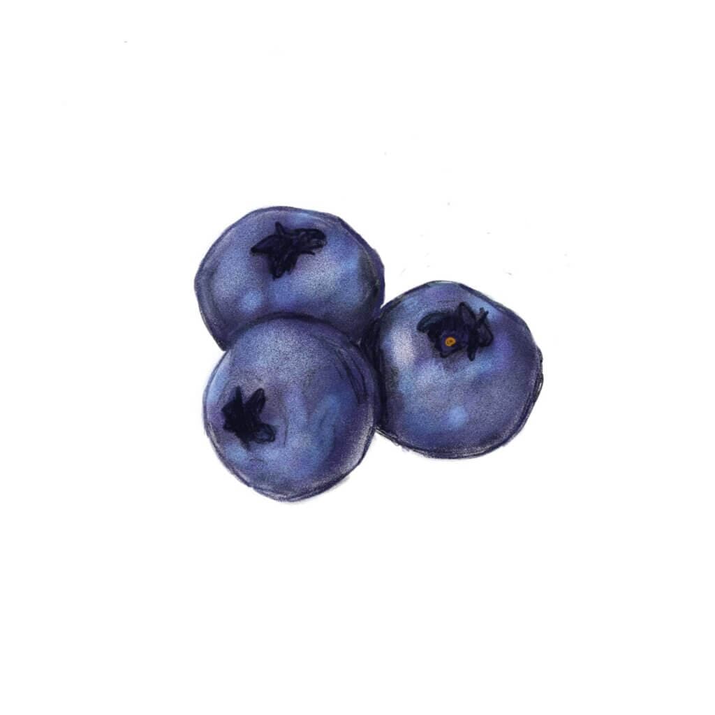 Blauwe bessen
