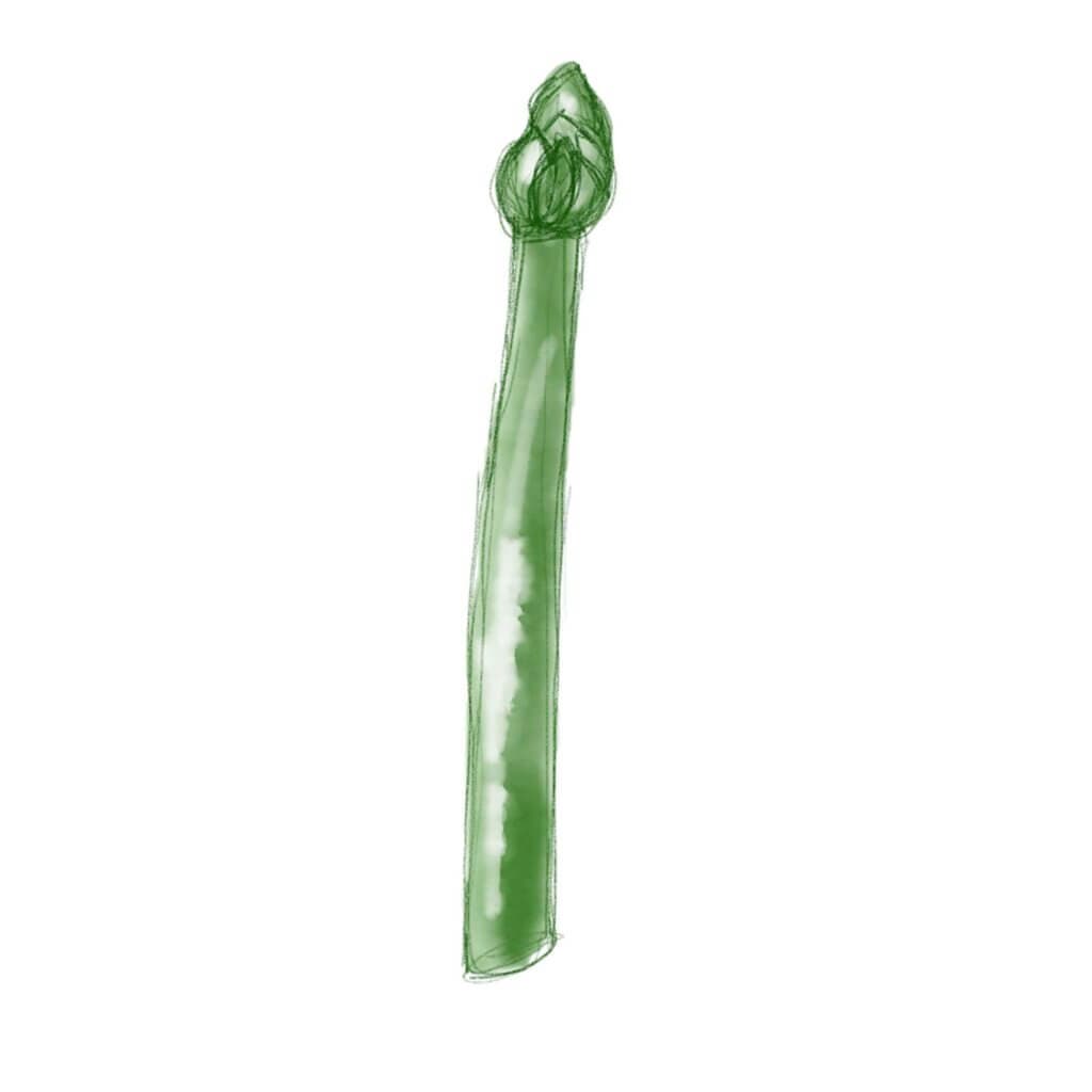 Groene asperge