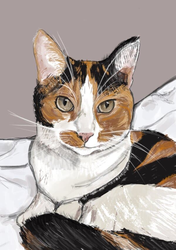 Poes Ruby