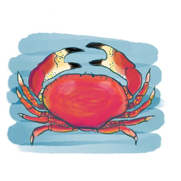 Krab